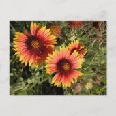 Levendige deken bloemen briefkaart (Voorkant)