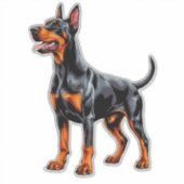 Levendige Dobermann Pinscher Sticker (Voorkant)