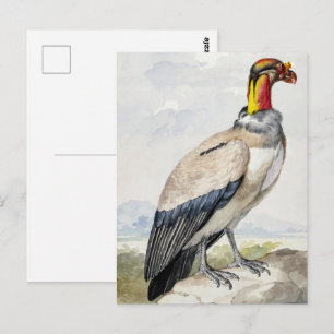 Levendige Exotische Koningsgier Wanddecoratie Briefkaart