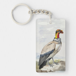 Levendige Exotische Koningsgier Wanddecoratie Sleutelhanger