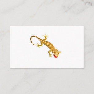 Levendige Exotische Tokay Gecko Sticker - Kleurrij Visitekaartje