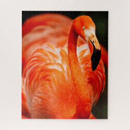 Levendige Flamingo Wildlife Bird Legpuzzel