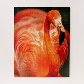 Levendige Flamingo Wildlife Bird Legpuzzel