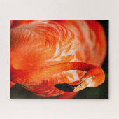 Levendige Flamingo Wildlife Bird Legpuzzel (Horizontaal)