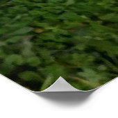 Levendige gele hibiscus bloei poster (Hoek)