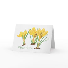 Levendige gele krokusbloemen Gelukkig Pasen