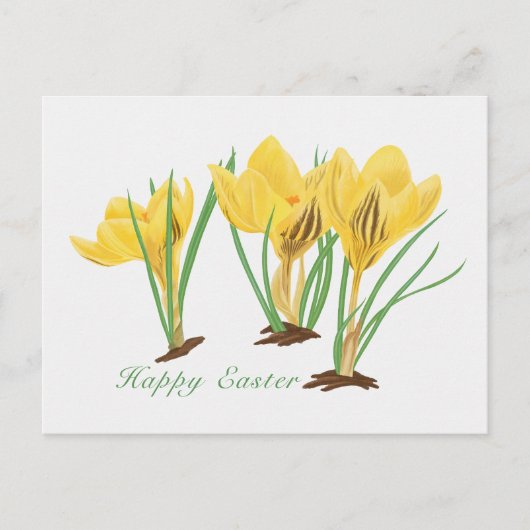 Levendige gele krokusbloemen Gelukkig Pasen Feestdagenkaart (Voorkant)