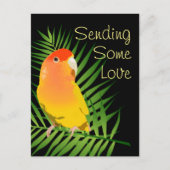 Levendige Gele Onbevlekte Liefdevolle Vogel Liefhe Briefkaart (Voorkant)