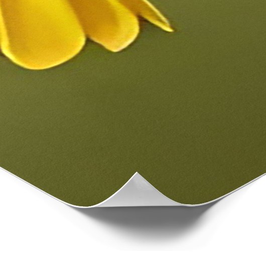 Levendige gele vogel op tak poster (Hoek)