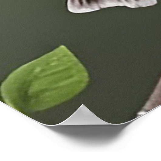 Levendige gele vogel op tak poster (Hoek)