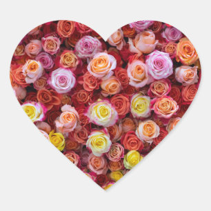 Levendige gemengde kleurenrozen bloemstuk hart sticker