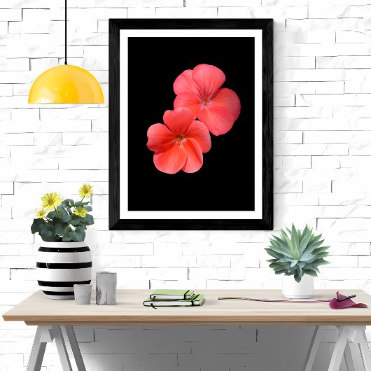 Levendige geranium bloemen foto afdruk