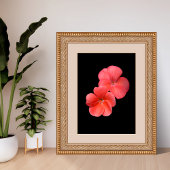 Levendige geranium bloemen foto afdruk