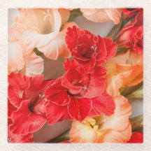 Levendige Gladiolus bloemen