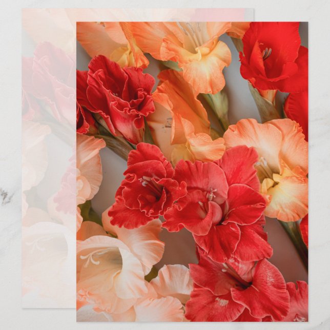 Levendige Gladiolus Bloemen Scrapbook Papier (Voorkant / Achterkant)