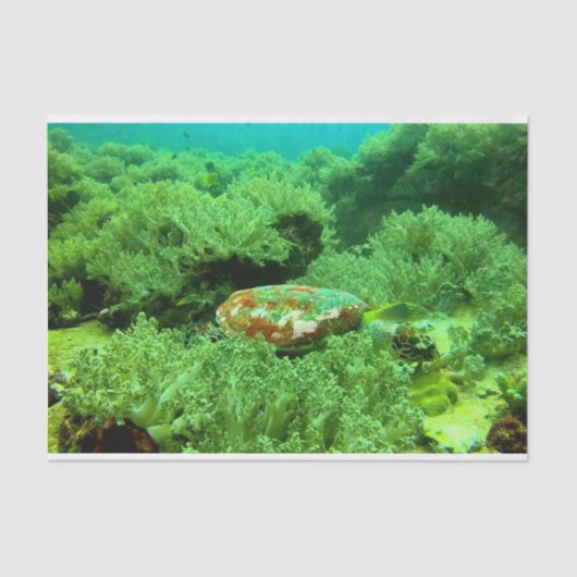 Levendige groene oceaan koraal en Zee schildpad Tissuepapier (Voorkant)