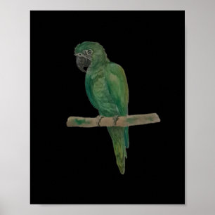 Levendige groene papegaai – met de hand geschilder poster