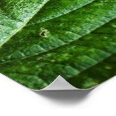 Levendige groene print (Hoek)