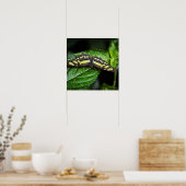 Levendige groene print (Keuken)