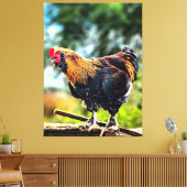 Levendige Haan op Hek Canvas Afdruk (Insitu (Woonkamer))