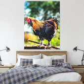 Levendige Haan op Hek Canvas Afdruk (Insitu (Slaapkamer))