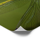 Levendige Hawker Dragonfly Close Up - Wildlife Fot Poster (Hoek)