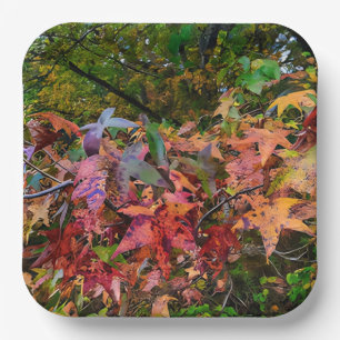 Levendige Herfst Foliage Paper Bord