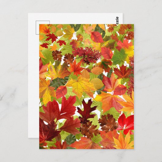 Levendige herfstbladcollage briefkaart (Voorkant / Achterkant)