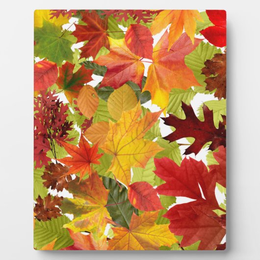 Levendige herfstbladcollage fotoplaat (Voorkant)