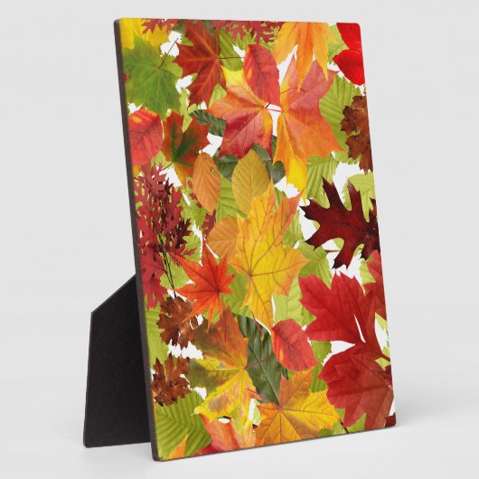 Levendige herfstbladcollage fotoplaat (Zijkant)