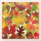Levendige herfstbladcollage glazen onderzetter (Voorkant)