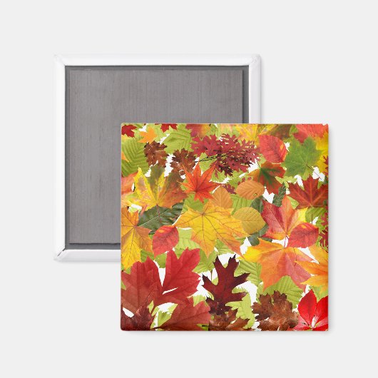 Levendige herfstbladcollage magneet (Voorkant / Achterkant)