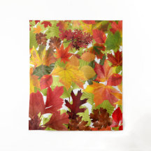 Levendige herfstbladcollage