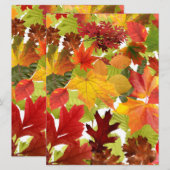 Levendige herfstbladeren collage (Voorkant / Achterkant)