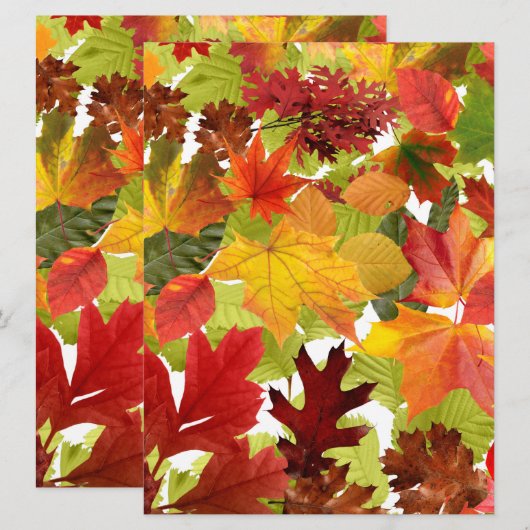 Levendige herfstbladeren collage (Voorkant / Achterkant)