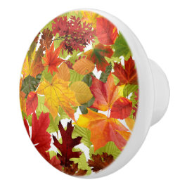 Levendige herfstbladeren collage keramische knop