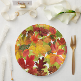 Levendige herfstbladeren collage papieren bordje