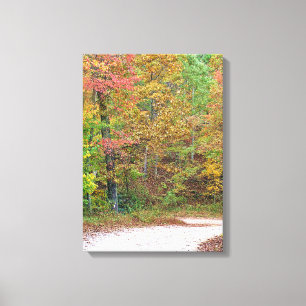 Levendige herfstbladeren Mountain Road Canvas Prin