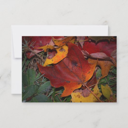 Levendige herfstbladeren notitiekaartje (Voorkant)