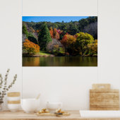 Levendige herfstkleuren Landschapsbomen Poster (Keuken)