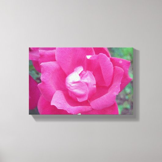 Levendige Hot Pink Roos Foto Stretched Canvas Art Afdruk (Voorkant)