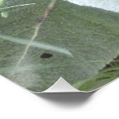 Levendige Jonge Plant in Tuin Perfect Poster (Hoek)