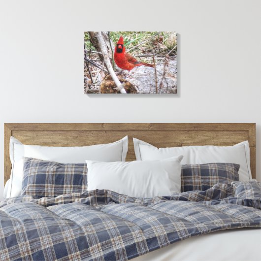 Levendige Kardinaal Canvas Afdruk (Insitu (Slaapkamer))