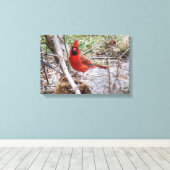 Levendige Kardinaal Canvas Afdruk (Insitu (Houten vloer))