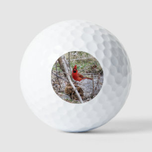 Levendige Kardinaal Golfballen