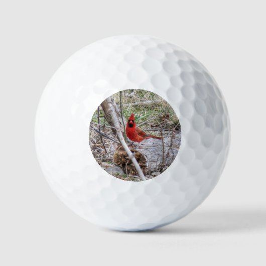 Levendige Kardinaal Golfballen (Voorkant)