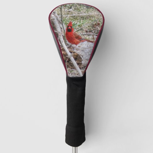 Levendige Kardinaal Golfheadcover (Voorkant)