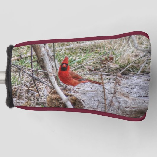 Levendige Kardinaal Golfheadcover (Voorkant)
