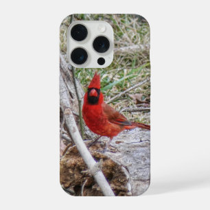 Levendige Kardinaal iPhone 15 Pro Case