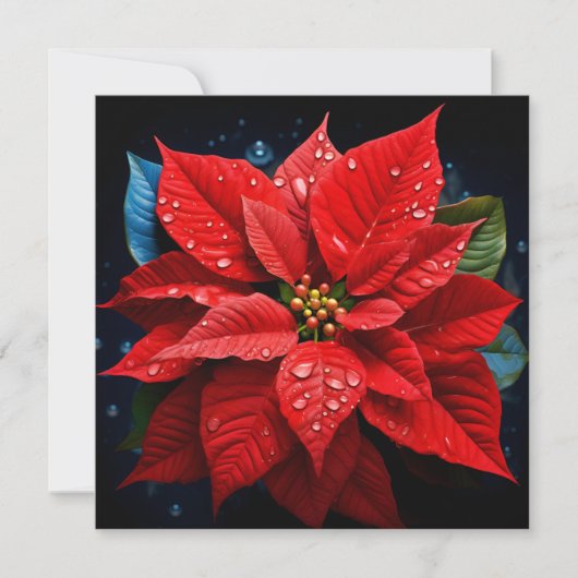Levendige Kerst Poinsettia kerstkaart (Voorkant)